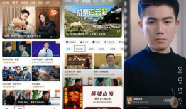 一级在线免费视频,海量资源一网打尽